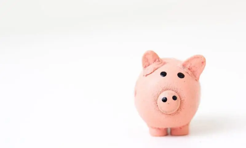 piggy bank
