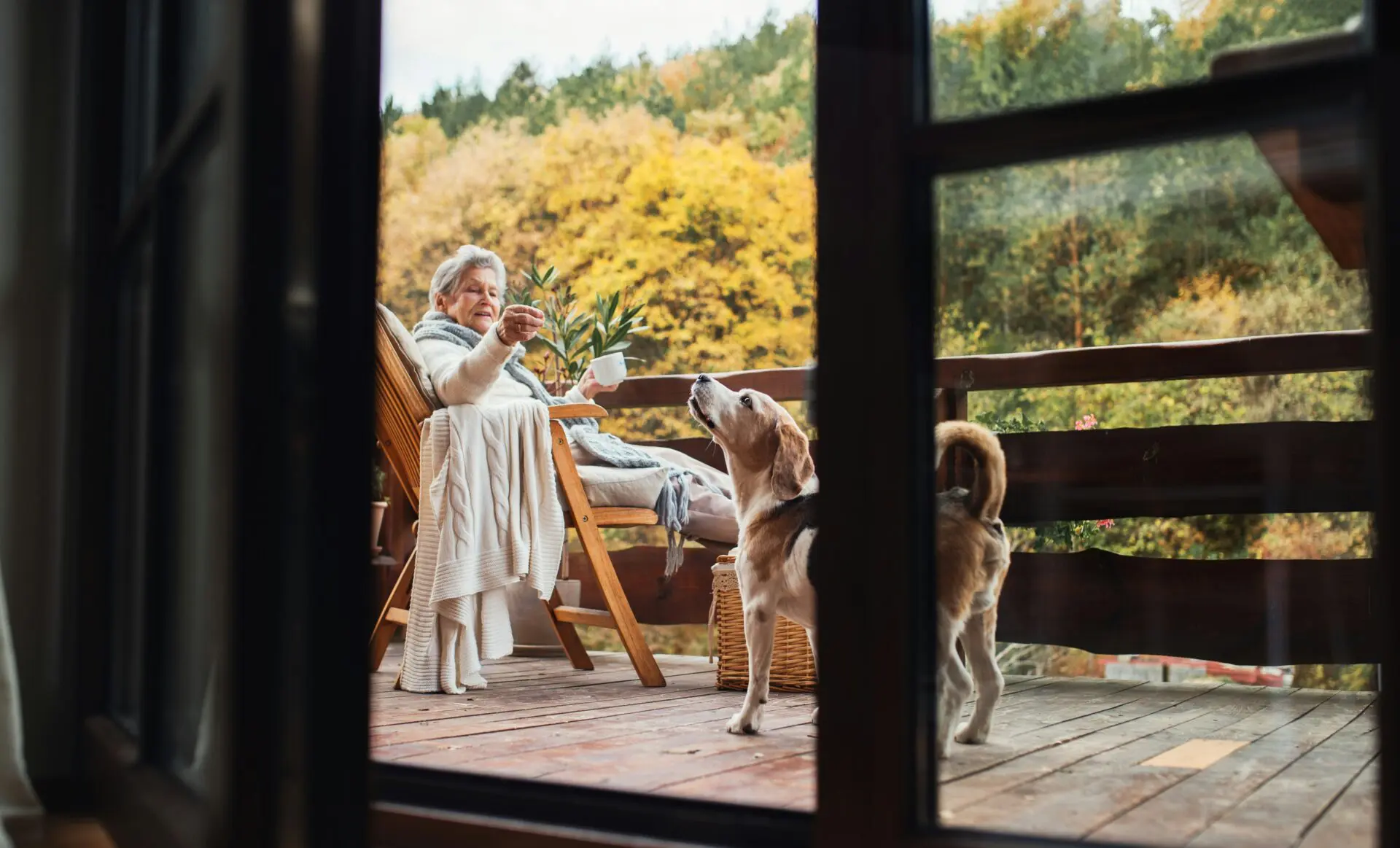 Dog on porch of cottage