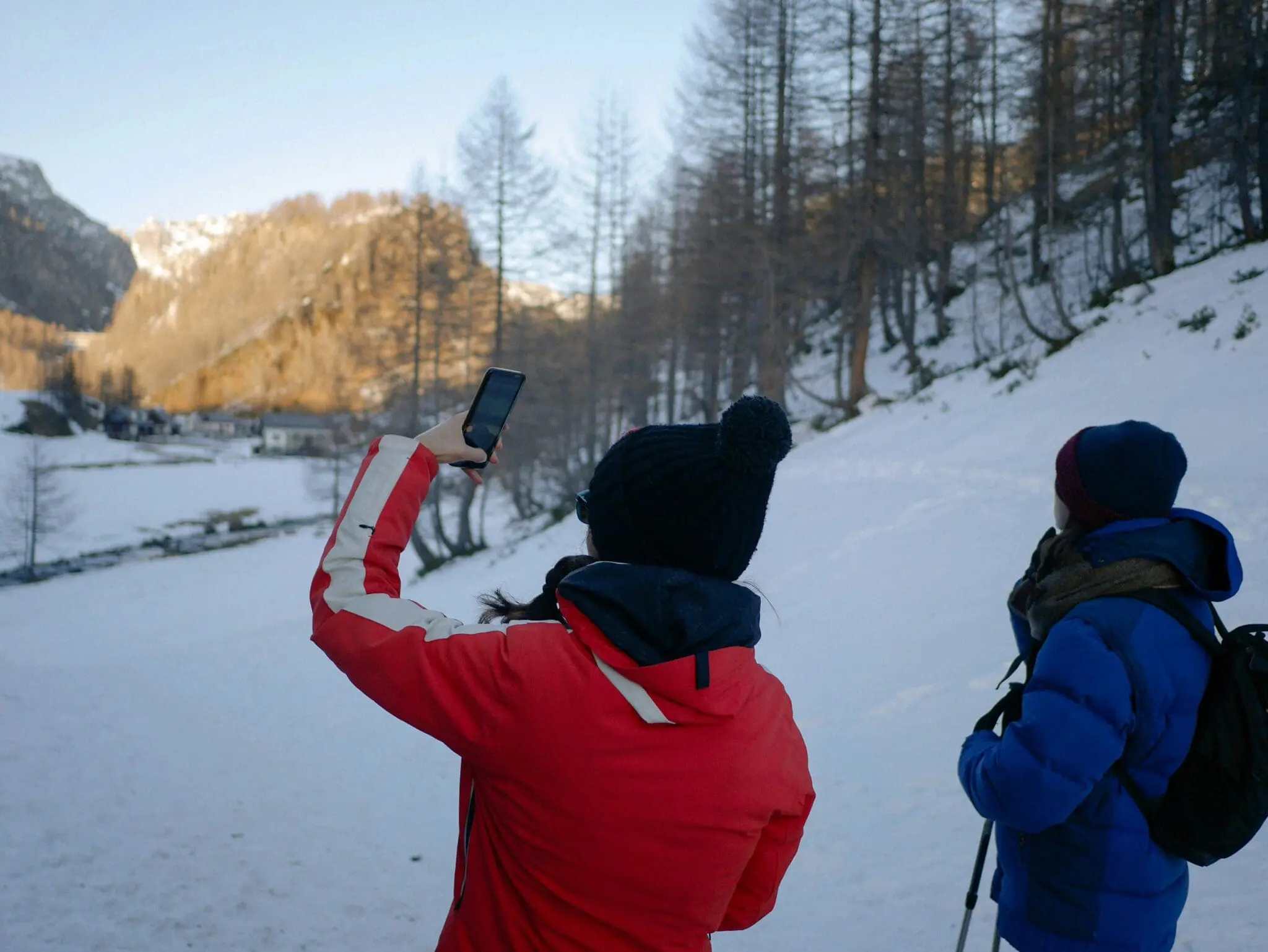 Holiday let owner checking booking performance on a mobile device