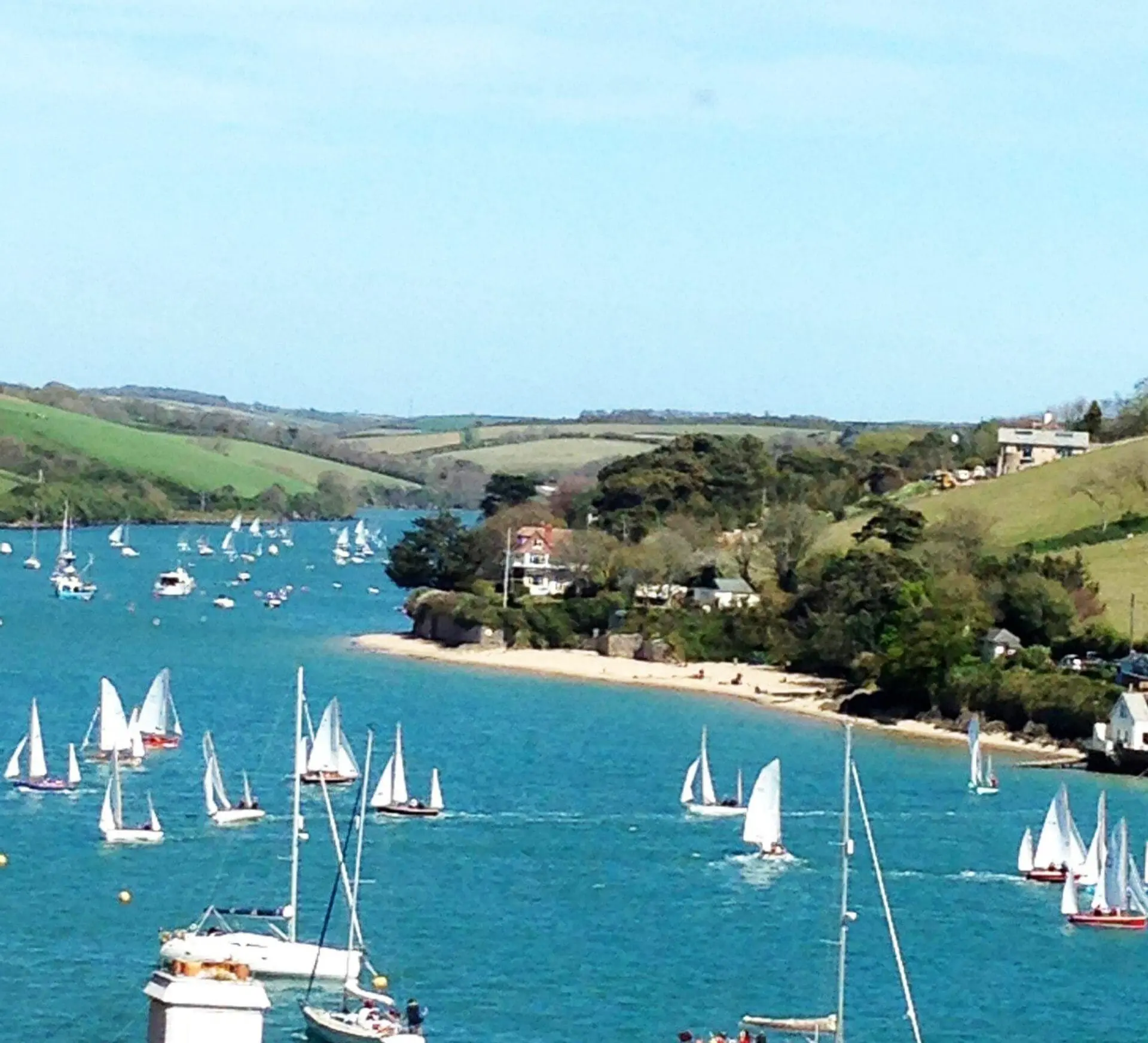 Salcombe estuary with boats and trees
